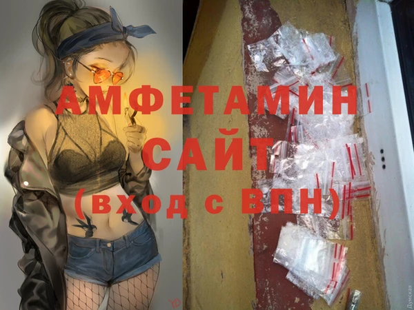 стафф Вязьма