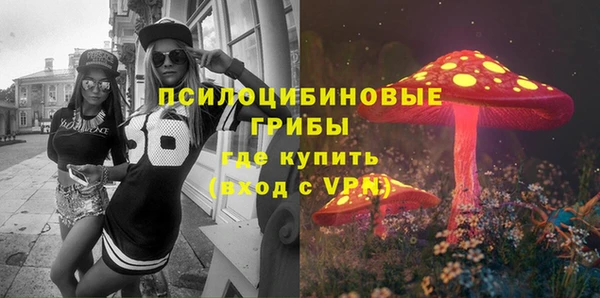 скорость Вяземский