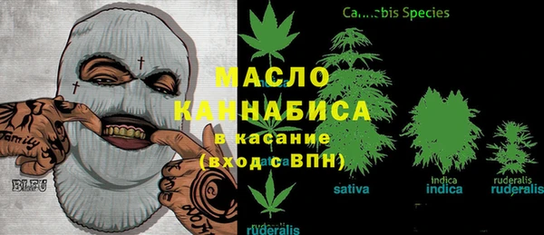 скорость Вяземский
