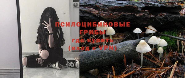 скорость Вяземский