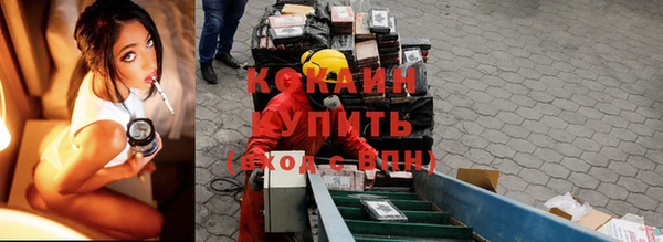 стафф Вязьма
